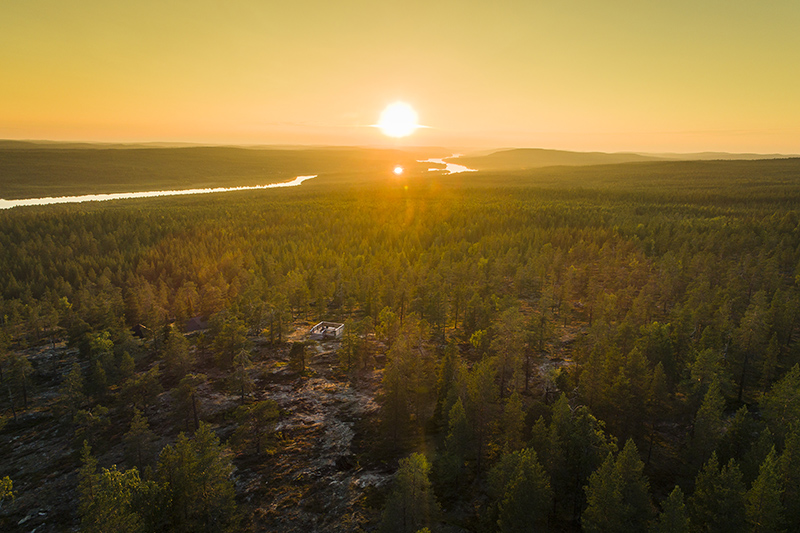 August sun by Alexander Kuznetsov small